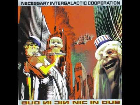 Necessary Intergalactic Cooperation (N.I.C.) - Your In Norge Now (Youth Remix)