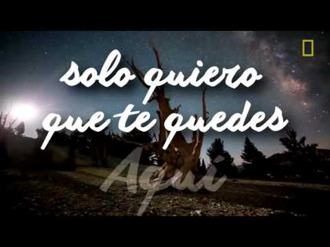 Ven a descansar en mi - Marcos Brunet letra