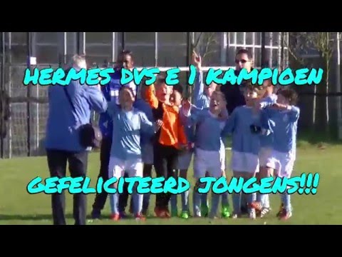 Samenvatting De Betrokken Spartaan E3 -  Hermes DVS E1