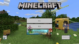 【マイクラ】すてるだむのTT　11