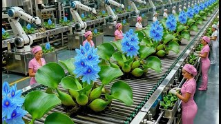 How a Modern Water Hyacinth Factory Turns Raw Plants into Finished Products