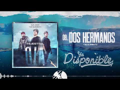 Dos Hermanos - T3R Elemento - DEL Records 2020