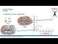 Sam Hillman (PhD student, Department of Physics): Understanding the influence of chemical structure and liquid environment on energetics and kinetics in hydrogen-evolving polymer photocatalysts. Sam Hillman gives a talk on Day Two of the 2020 Faculty of Natural Sciences Research Showcase.