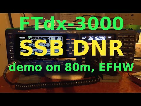 FTdx-3000 SSB DNR - 80m EFHW - Mixed Signal Levels