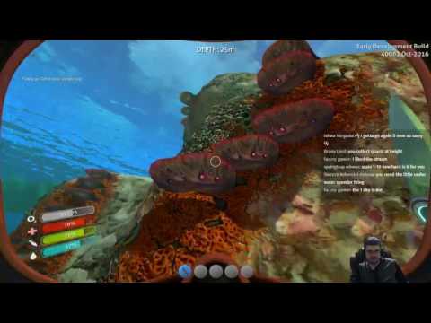 how to fix subnautica game lag how to fix subnautica game lag