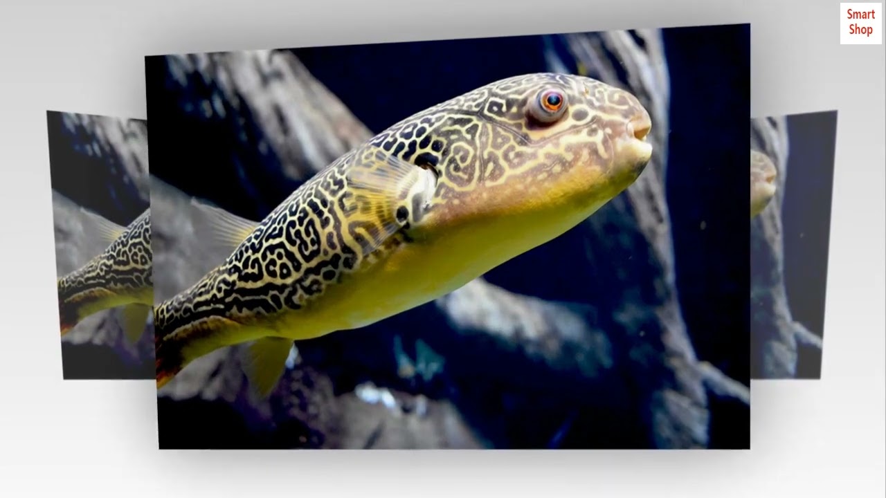 Seachem Clarity 500ml