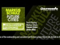 Markus Schulz - Future Cities (Intro mix) 
