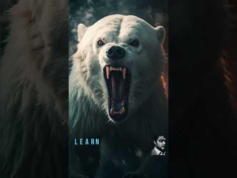 BERNARD CAMPBELL Trailer Narration On ANIMAL