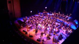 Weeping willow &quot;Broken promise land&quot;