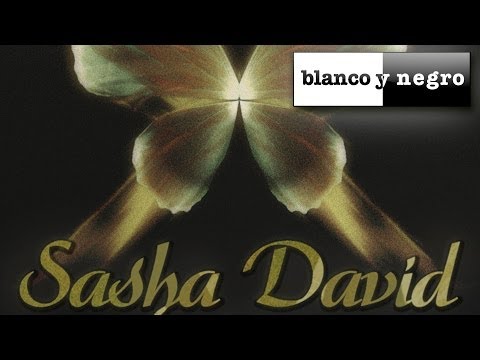 Sasha David - Fly (Extended Mix)