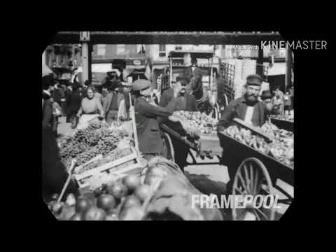 Lupo the Wolf's New York City - 1903