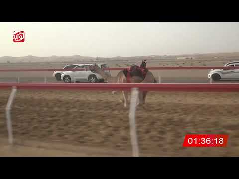  ش 18 (الظبي) لـ محمد نافع الرشيدي 2:59 ، شارة الصندوق 2026/07/30 فطامين الروضة