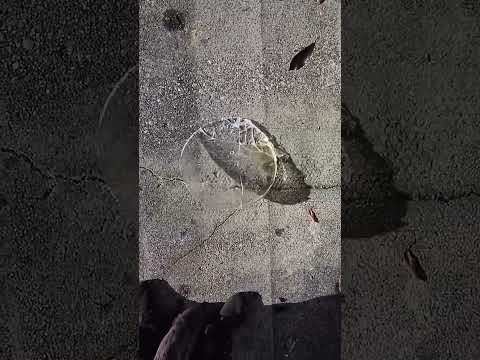 super slow motion ice breaking. Allowing fish to breathe again