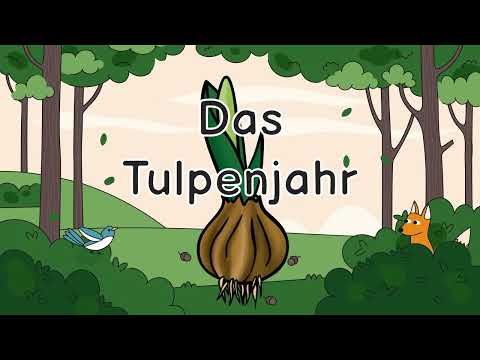 Erklärvideo zum Tulpenjahr