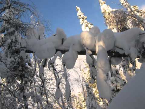 Lauri Leino - Silence Is Cold