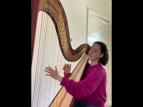 First part Niagara Moon | Alfredo Rolando Ortiz | 伊娃弹竖琴 | Harp