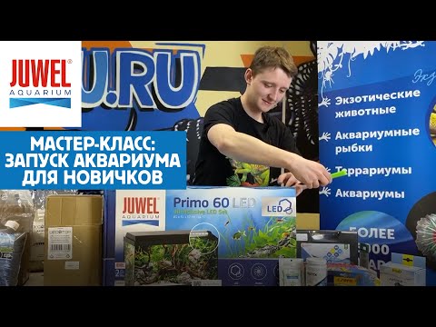 Мастер-класс по запуску аквариума JUWEL Primo 60 [ЗАПИСЬ СТРИМА]