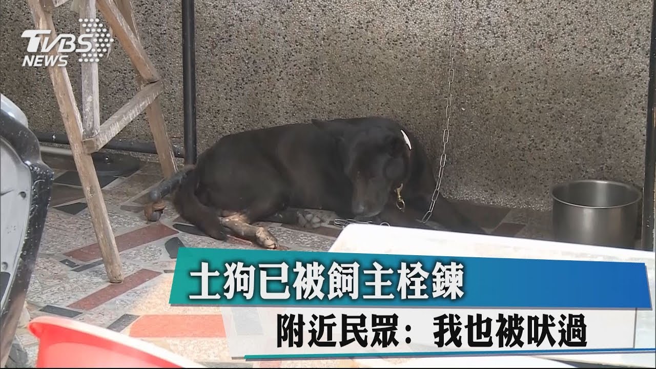 土狗已被飼主栓鍊 附近民眾:我也被吠過