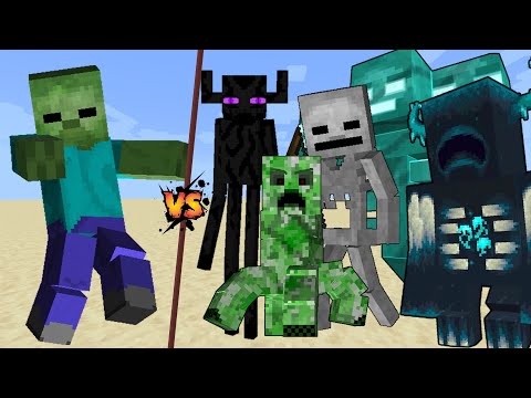Vikcraft - Titan Zombie vs All Titans in Minecraft mob battle