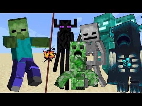 Titan Zombie vs All Titans in Minecraft mob battle