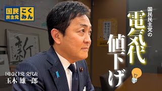 国民民主党の電気代値下げ政策