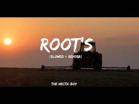 Roots bintu pabra (slowed + reverb) | The hectic boy | Aditya nain | Haryanvi slowed version's