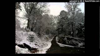 Johnny Shines- Shake 'Em On Down (Live 1970)