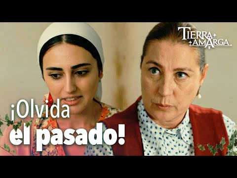 Consejo de oro de Hünkar a Gülten - Capítulo 159