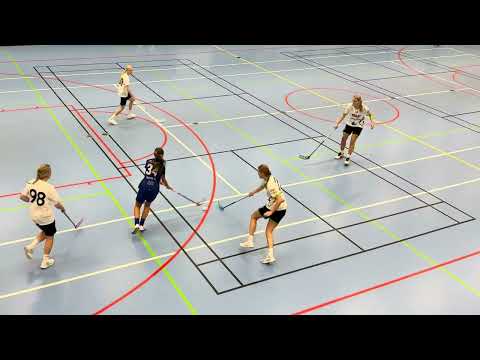 Juniorallsvenskan JAS Hovshaga AIF - Åstorp/Kvidinge IBS 5-3