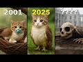 Evolution Of Meowl Italian Brainrot