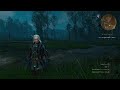 The Witcher 3 Wild Hunt Gameplay Affari Di Famiglia Parte 2