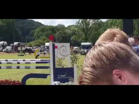 Ice cream 7 y/o mare by Diarado X Classido