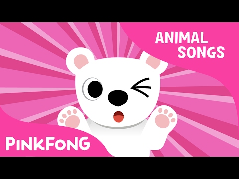 download lagu mp3 mp4 Polarbear Paw, download lagu Polarbear Paw gratis, unduh video klip Polarbear Paw