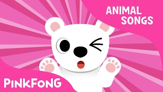 Paw Paw Polar Bear | Polar Bear | Animal Songs | Pinkfong Songs for Children