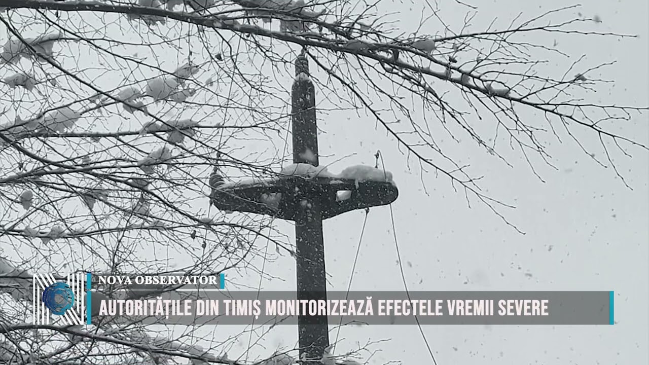 Autoritățile din Timiș monitorizează efectele vremii severe