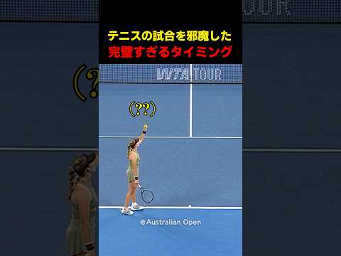 テニスの試合を邪魔した完璧すぎるタイミング