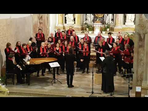 Uno di tanti bei canti cantati dal coro delle Laste per il concerto di Natale 2019
