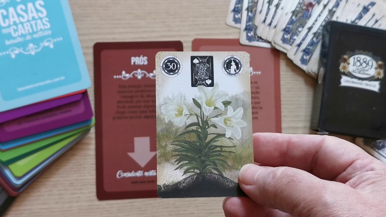 Carta do Dia:  LÍRIO