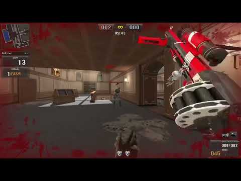 POINT BLANK MACRO SG PRACTICE MODE