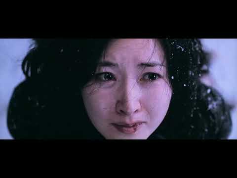 The Beauty of Lady Vendetta