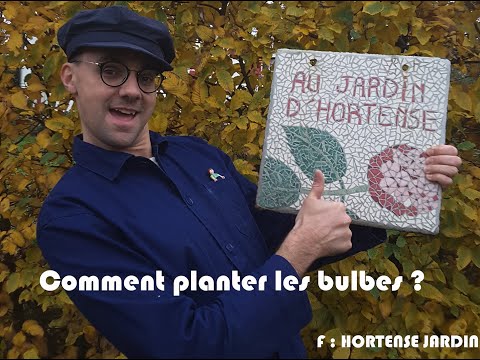 COMMENT PLANTER LES BULBES ?