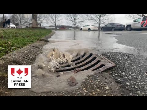 Familiar fate in Abbotsford as floodwaters gush in