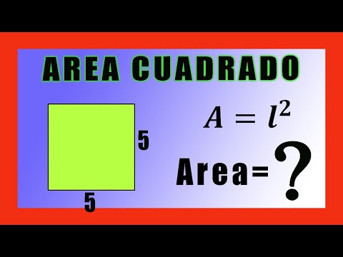 ✅👉 Area y perimetro de un cuadrado