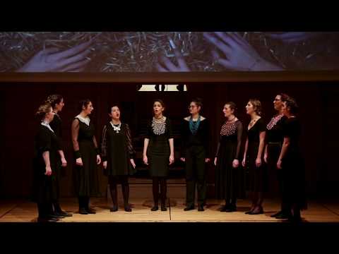Harmonija disonance: Tri su kralja 'idrila