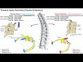 RE-UPLOAD: Rib Movements | Coupled with Thoracic Flexion & Extension