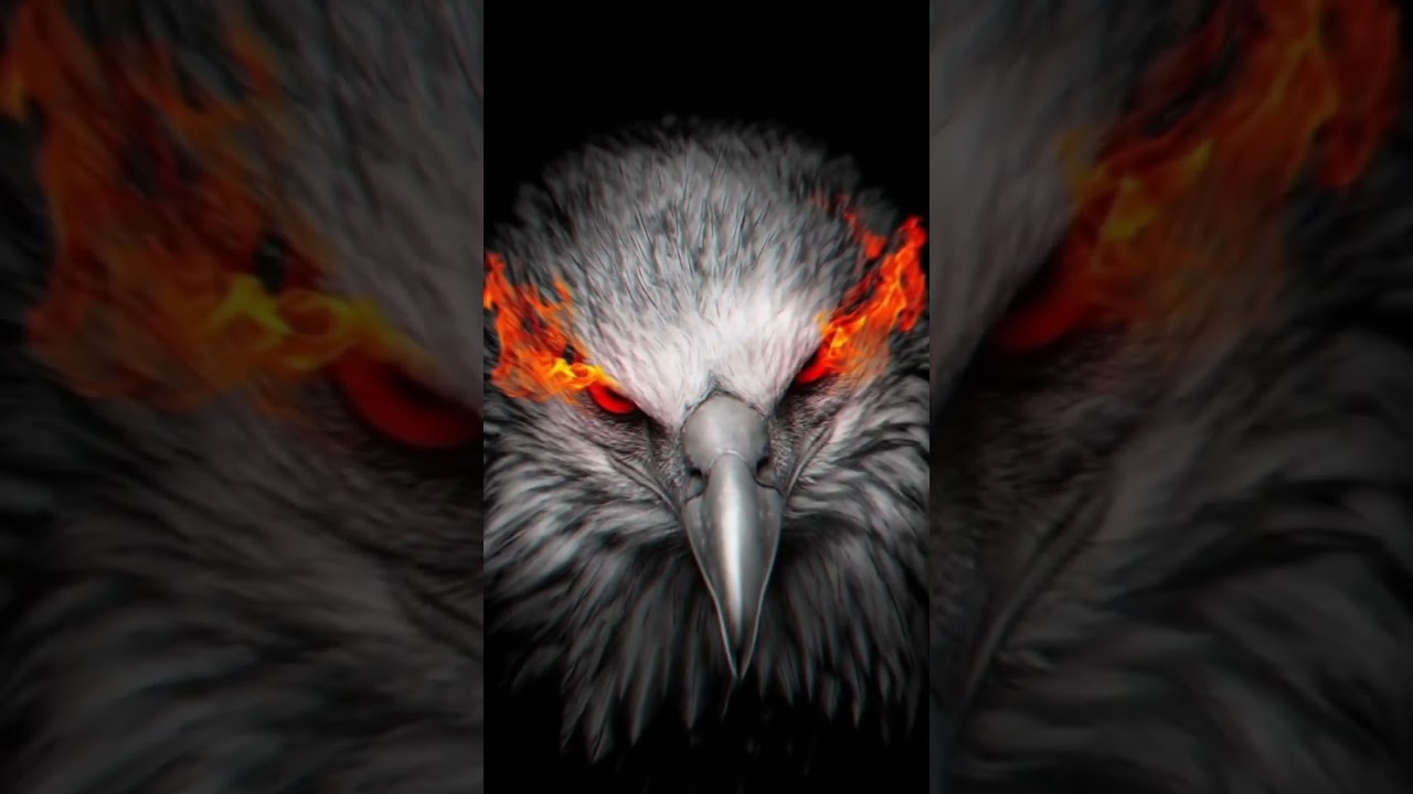 AMAZING Eagle Wallpapers🥶👌😎