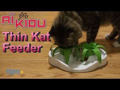 ThinKat Interactive Cat Feeder from Aikiou