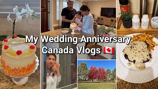 Aj Apni 8th Wedding Anniversary Celebrate ki| Beef Tarragon Steak, Mera busy routine, Canada Vlog 🇨🇦