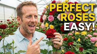 How to Plant, Care for, and Maintain Roses | Complete Rose Gardening Guide
