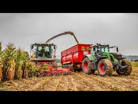 Claas Jaguar 900 | Lohnunternehmen Klunzinger | Maisernte 2018 | Fendt, Steyr, Deutz uvm.